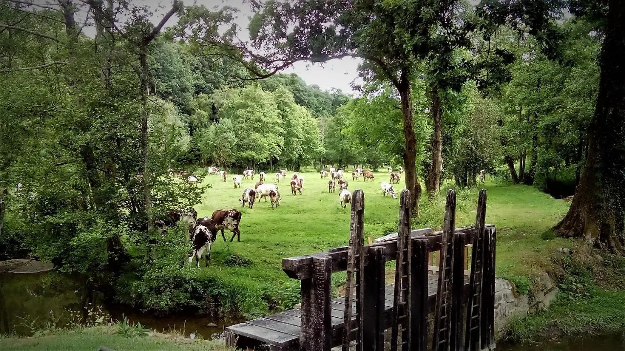Au Moulin De Faucillon Villa Saint-Hilaire-des-Landes Holiday home